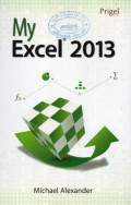 My Excel 2013