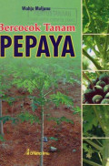 Bercocok Tanam Pepaya