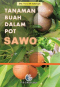 Tanaman Buah Dalam Pot Sawo