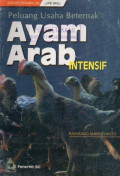 Peluang Usaha Beternak Ayam Arab Intensif