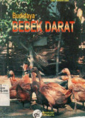budidaya Bebek Darat
