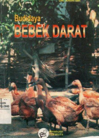 budidaya Bebek Darat
